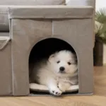 Doglemi Hundetrappe m. hule og små rum